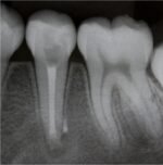 Bio-C Temp - Image 11