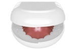 Case For Removable Orthodontic Appliances Angelus dental product