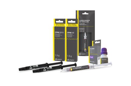 Porcelain Repair Kit Angelus dental product