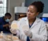 dental zirconia selection guide guide for dental clinics in Africa