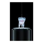 Woodpecker Ai-Pex — manufacturer illustration of a measuring file in a tooth